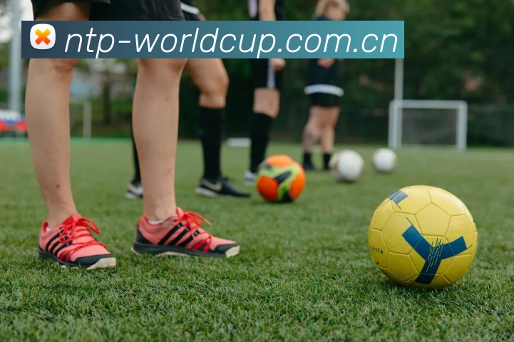 全球赛事直播聚合 - 2026世界杯